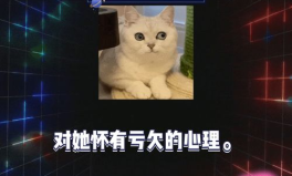 吃瓜娱乐圈八卦qq群,QQ群里的吃瓜盛宴