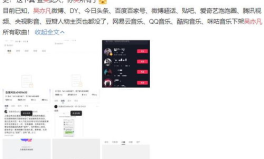 娱乐吃瓜号剪辑,剪辑背后的热点追踪与粉丝经济