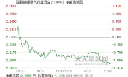 国投景气基金,国投瑞银景气基金2025年一季度业绩解析