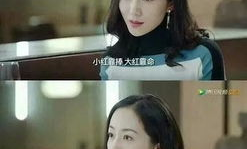 娱乐圈吃大瓜小说推荐,跟随小说探寻明星背后的秘密与真相